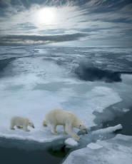 in arctic ocean north of Svalbard Norway, illustrated with arctic sun and sky